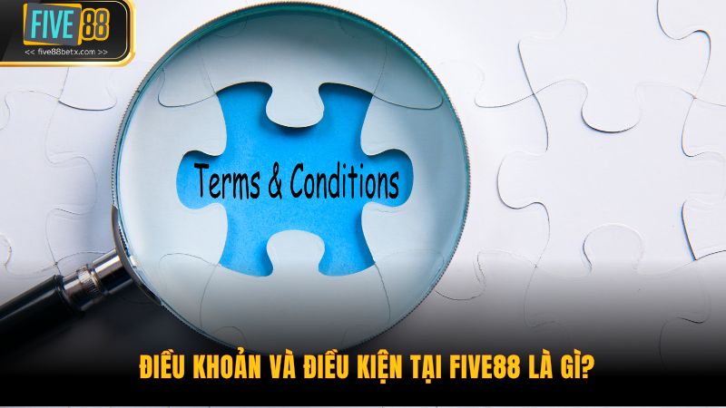 Điều khoản và điều kiện tại Five88 là gì?